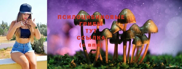 apvp Красноперекопск