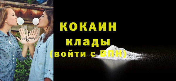 дживик Костерёво