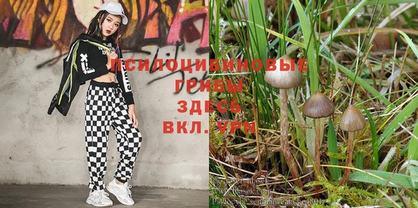 круглые Краснослободск