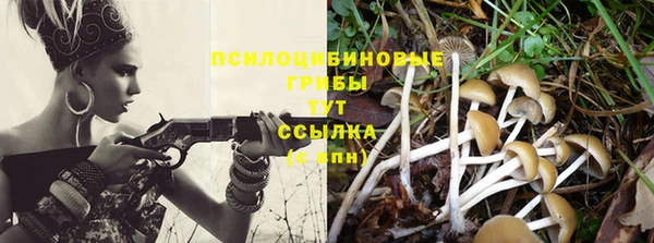 spice Корсаков