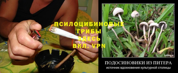 дживик Костерёво