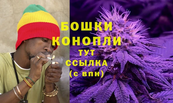 дживик Костерёво